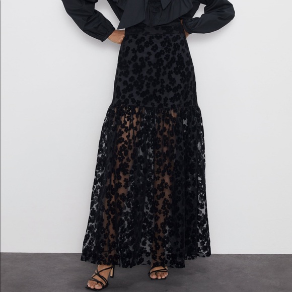 ZARA Embroidered Skirt - Picture 8 of 8